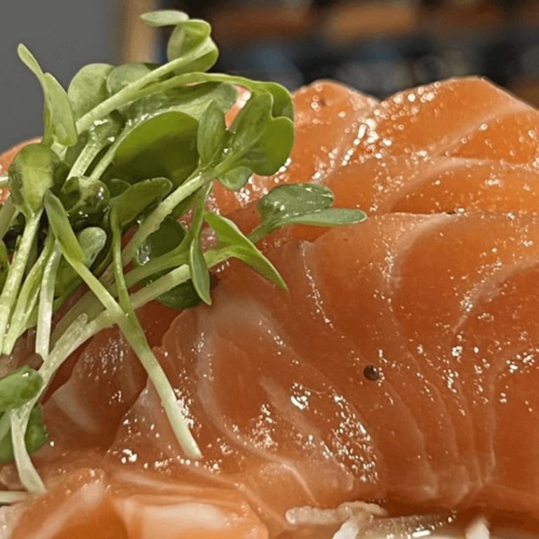 Savor Our Salmon Dishes